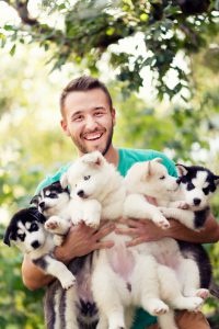 Cheerful Young Men Holding Five Lovely Husky Baby Puppies. Photo taken outdoor in the nature while the baby puppies having fun in the arms of their owner.